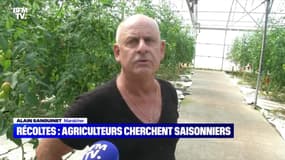 Récoltes : agriculteurs cherchent saisonniers - 31/08