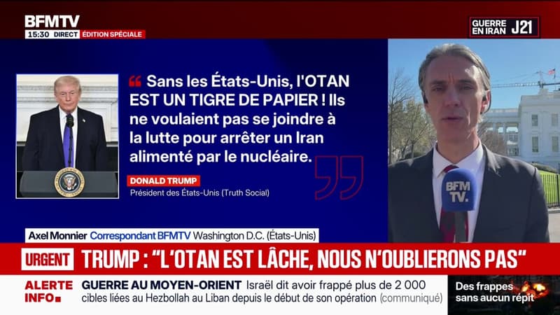 Donald Trump accuse les pays de l'Otan d'être des "lâches" pour leur refus de participer à une manoeuvre militaire dans le détroit d'Ormuz