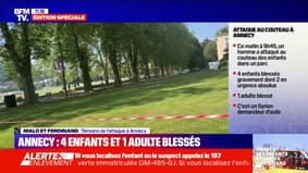 "Il s'attaquait clairement aux bébés": un témoin de l'attaque au couteau à Annecy raconte
