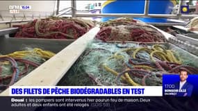 Boulogne-sur-Mer: des filets de pêche biodégradables en test