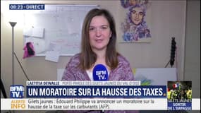 Moratoire: la porte-parole des gilets jaunes du Val d'Oise attend "des gestes plus concrets"