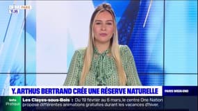 Yann Arthus-Bertrand crée une réserve naturelle au cœur de la forêt de Rambouillet