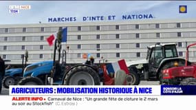 Retour sur une mobilisation très forte des agriculteurs à Nice
