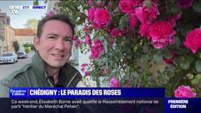 Avec plus de roses que d'habitants, la commune de Chédigny est classée "Jardin remarquable"