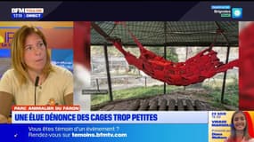 Var: le parc animalier du Faron juge la polémique sur les enclos "obsolète"