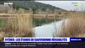 Hyères: les étangs de Sauvebonne réhabilités