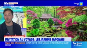 Le café des jardiniers avec Julien Gortina : invitation au voyage, avec les jardins japonais