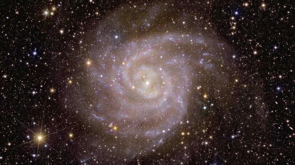 Une des premières images en couleurs du cosmos prises par le satellite Euclid, montrant la galaxie spirale IC 342.