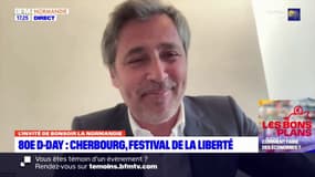 80e anniversaire du D-Day: "un ballet aérien absolument exceptionnel" à Cherbourg-en-Cotentin