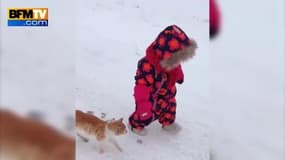 Un chat s’amuse avec une petite fille en la faisant tomber