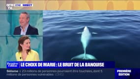 Le choix de Marie : Le bruit de la banquise - 08/02