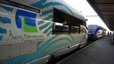 Depuis lundi 6 juillet, les touristes venus de Paris désirant visiter le Mont Saint-Michel (Manche) pourront emprunter une ligne directe de train spécialement dédiée.