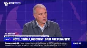 Punaises de lit: "Nous avons alerté depuis plusieurs années", affirme Stéphane Bras, porte-parole de la Chambre Syndicale 3D (Dératisation, Désinsectisation et Désinfection)