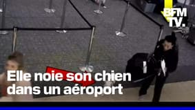 En Floride, elle noie son chien dans les toilettes d'un aéroport après s'être fait refuser l'accès à son vol