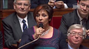 La députée UMP Marie-Christine Dalloz à l'Assemblée nationale le 19 novembre 2013.