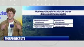 Morfo, qui fait de la reforestation par drones, recrute 15 postes !