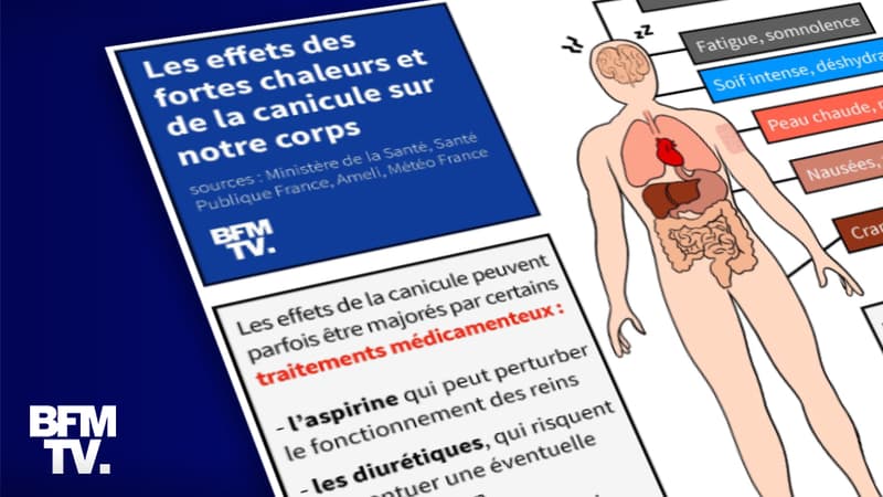 INFOGRAPHIE. Fortes chaleurs, canicules : quels effets sur notre corps et qui sont les plus fragiles?