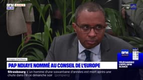 Pap Ndiaye nommé au conseil d'Europe