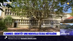 Cannes: bientôt une nouvelle école hôtelière