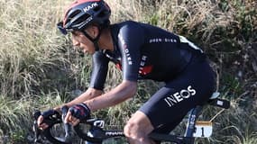 Bernal