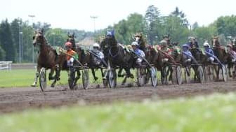 Les pronos hippiques du 5 juillet 2022