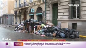 Déchets à Marseille: Christine Juste, élue, se dit satisfaite que l'Etat prenne "enfin" la main