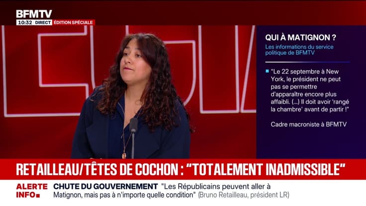 Des têtes de cochon retrouvées devant plusieurs mosquées de région parisienne, une enquête ouverte