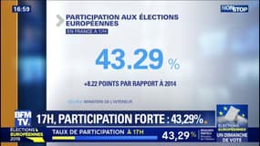 Élections européennes: la participation est de 43,29% à 17h, selon le ministère de l'Intérieur