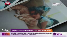Procès Evaëlle: "Elle demandait à ce que ça s'arrête et ça ne s'arrêtait pas"