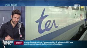 SNCF: un "mouvement social inopiné" perturbe le trafic des TER et RER