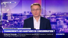 Dominique Schelcher (Système U): "Les Français achètent moins de produits frais"