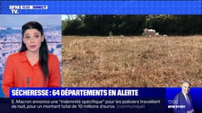 Sécheresse: 64 départements en alerte - 28/07