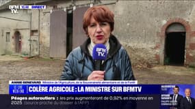 Agriculteurs: "Cette semaine a été dédiée à la simplification", assure Annie Genevard, ministre de l'Agriculture