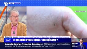 Quels sont les symptômes du virus du Nil, qui se transmet par le moustique?