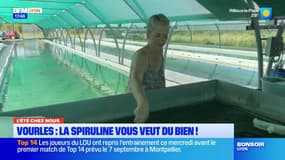 L'été chez nous: de la culture de spiruline à Vourles, une bactérie qui vous veut du bien