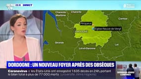 Coronavirus: en Dordogne, un foyer détecté après des obsèques 