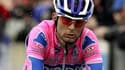 Diego Ulissi remporte la 17e étape du Giro sur décision des commissaires de course