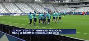 Un jour, un Bleu : Paul Pogba