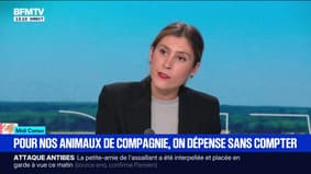 Vétérinaire, nourriture, jouets...Pour nos animaux de compagnie, on dépense sans compter