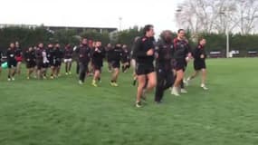 Top 14 : Toulouse mise sur les jeunes