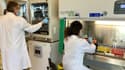 Expériences en laboratoire sur le site d'OSE Immuno à Nantes
