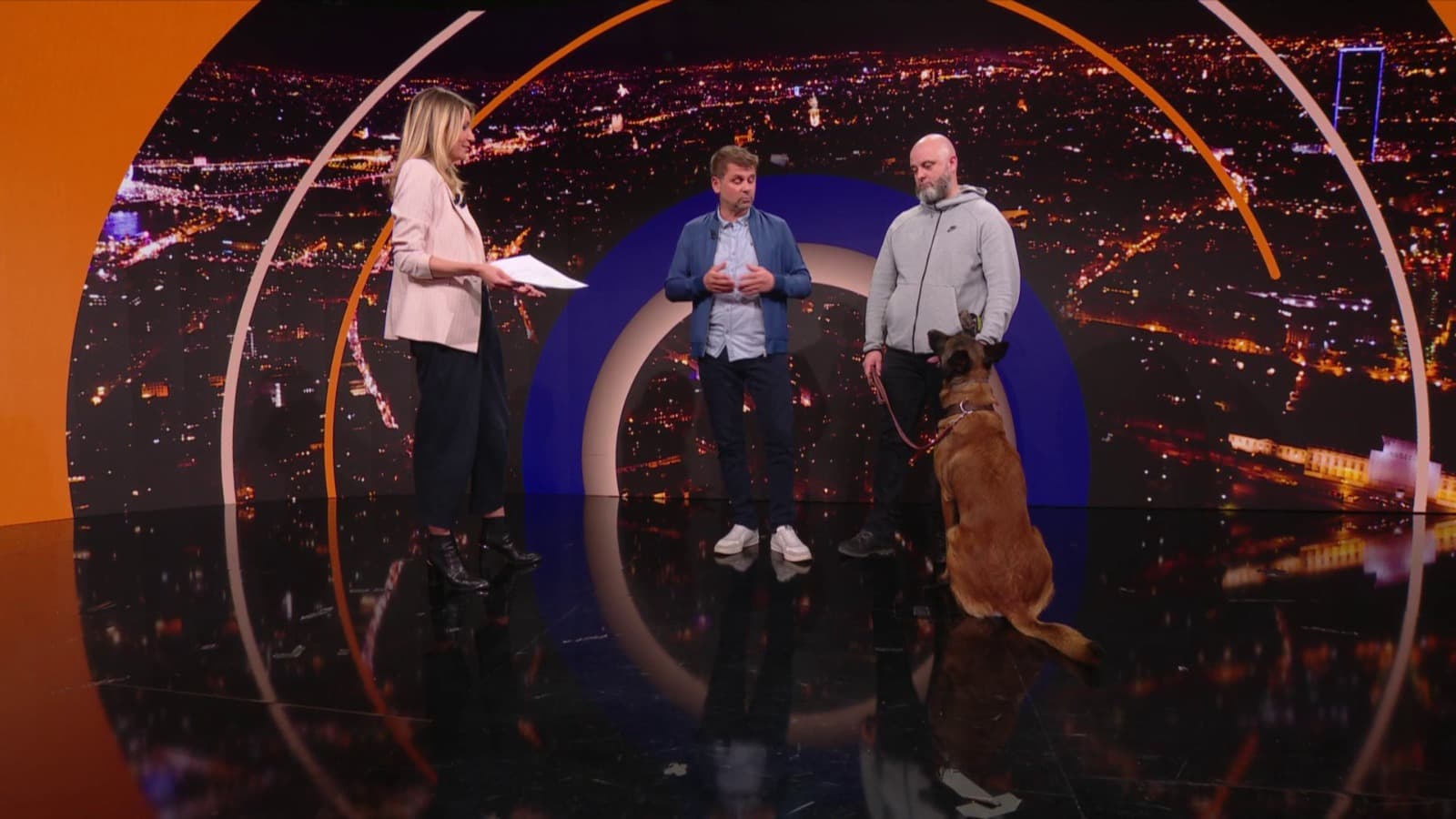 Disparition d'Agathe: comment les chiens interviennent-ils? Disparition d'Agathe: comment les chiens interviennent-ils?