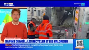 BFM Nord et vous: recycler et valoriser son sapin de Noël