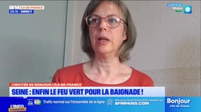 Seine: comment la pluie peut semer le trouble sur la qualité de l'eau, alors que celle-ci est bonne pour la baignade depuis le 4 juillet