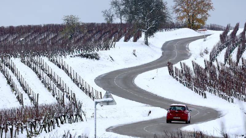 Une voiture roule dans les vignes enneigées près d'Andlau (Bas-Rhin), le 22 novembre 2024.