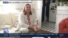 IVG, la guérilla sur Internet