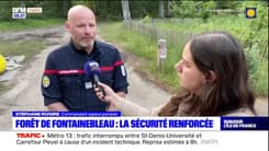 Incendie en Seine-et-Marne: la sécurité renforcée autour de la Forêt de Fontainebleau