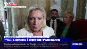 Marine Le Pen sur l'agression à Bordeaux: "Nous assistons à une montée de la violence, une violence gratuite et imprévisible"