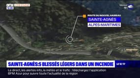 Alpes-Maritimes: cinq blessés légers dans un incendie à Sainte-Agnès