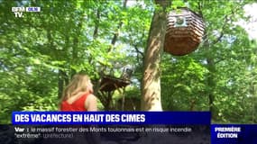 C'est les vacances : Des vacances en haut des Cimes - 03/08